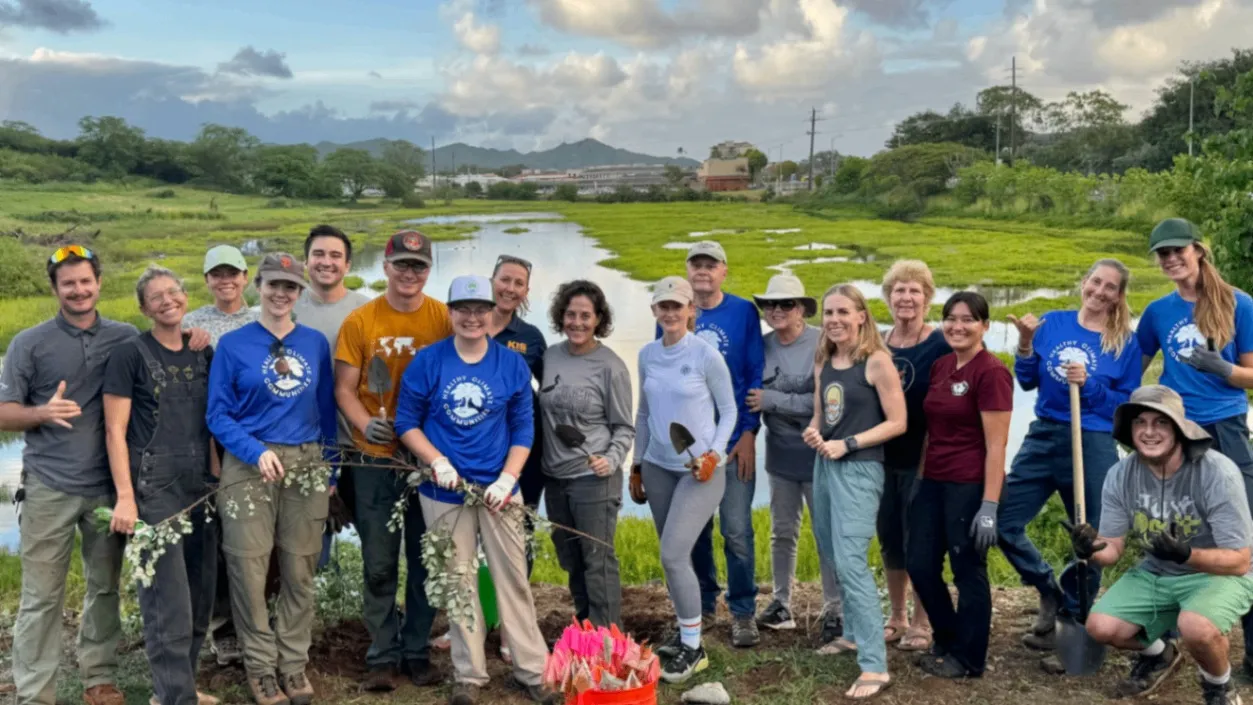 Volunteers doing environmental work outdoors