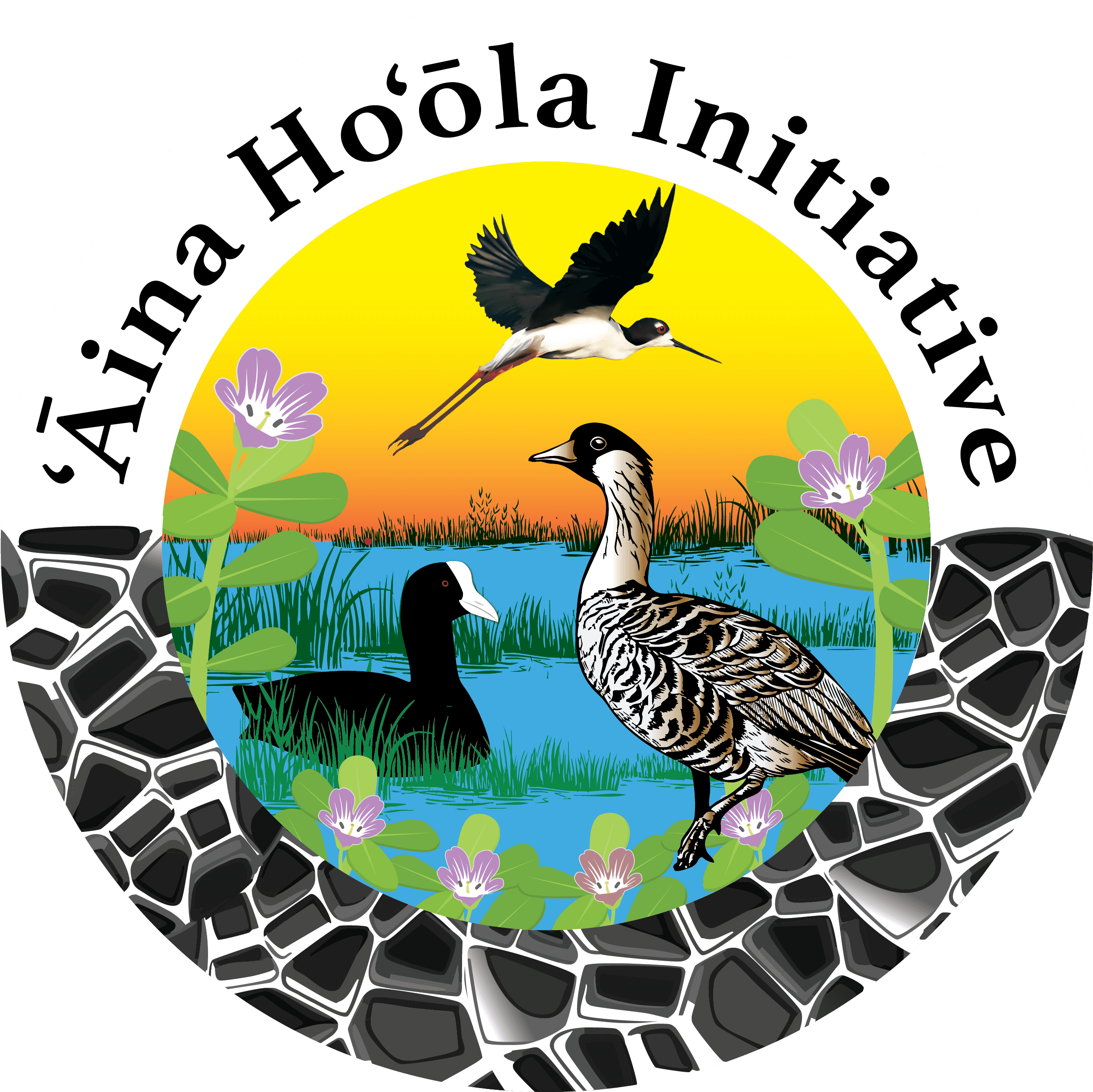 AINA HOOLA INITIATIVE