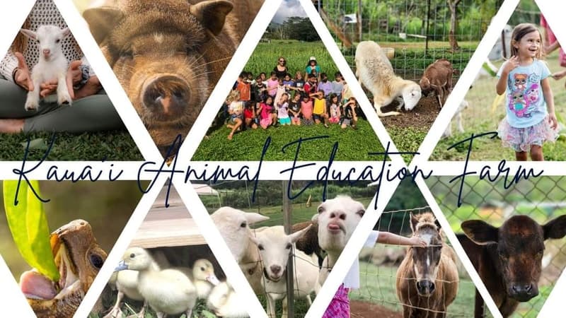 Kauai Animal Education Farm