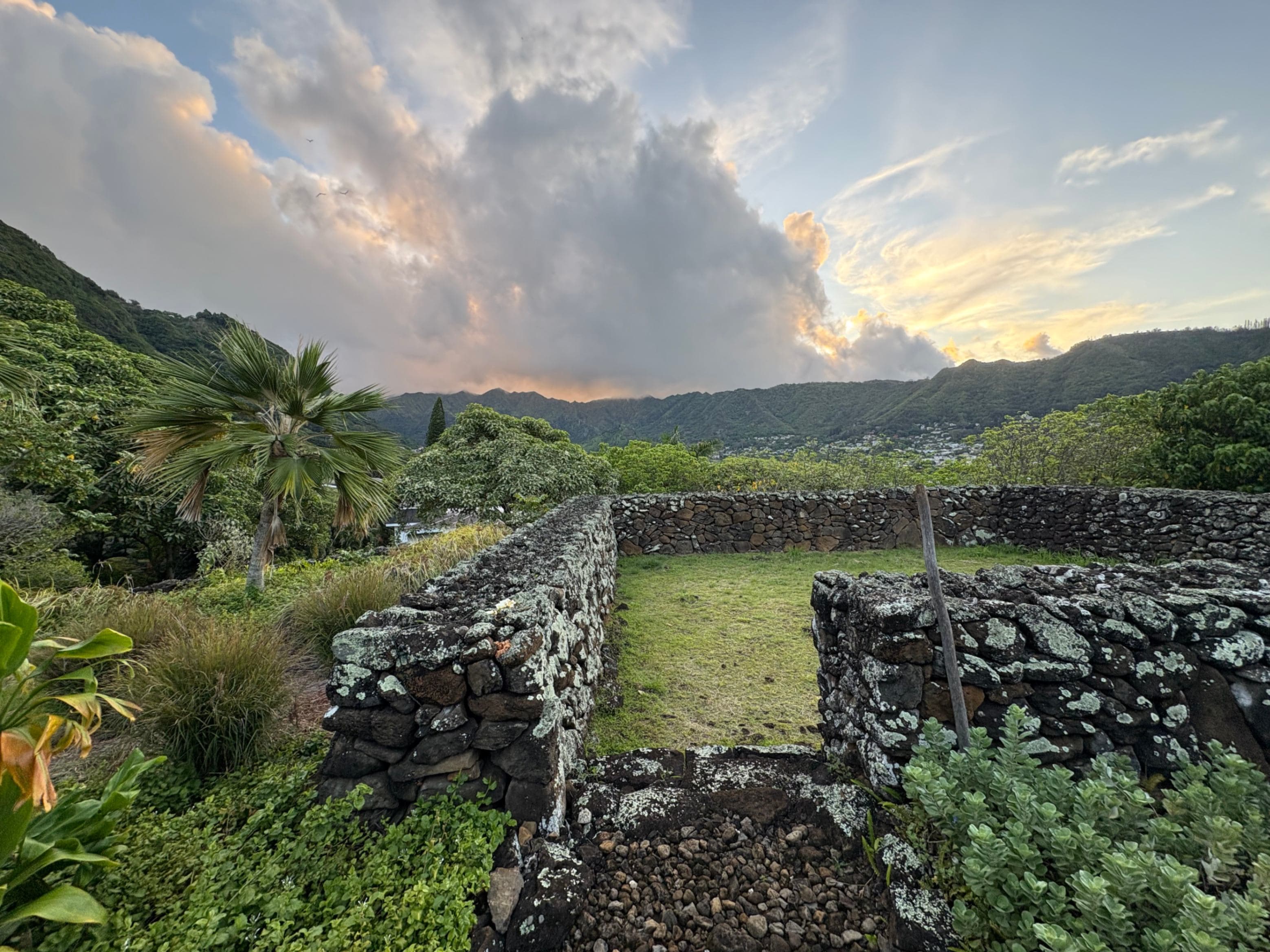 Mānoa Heritage Center - Garden Volunteering