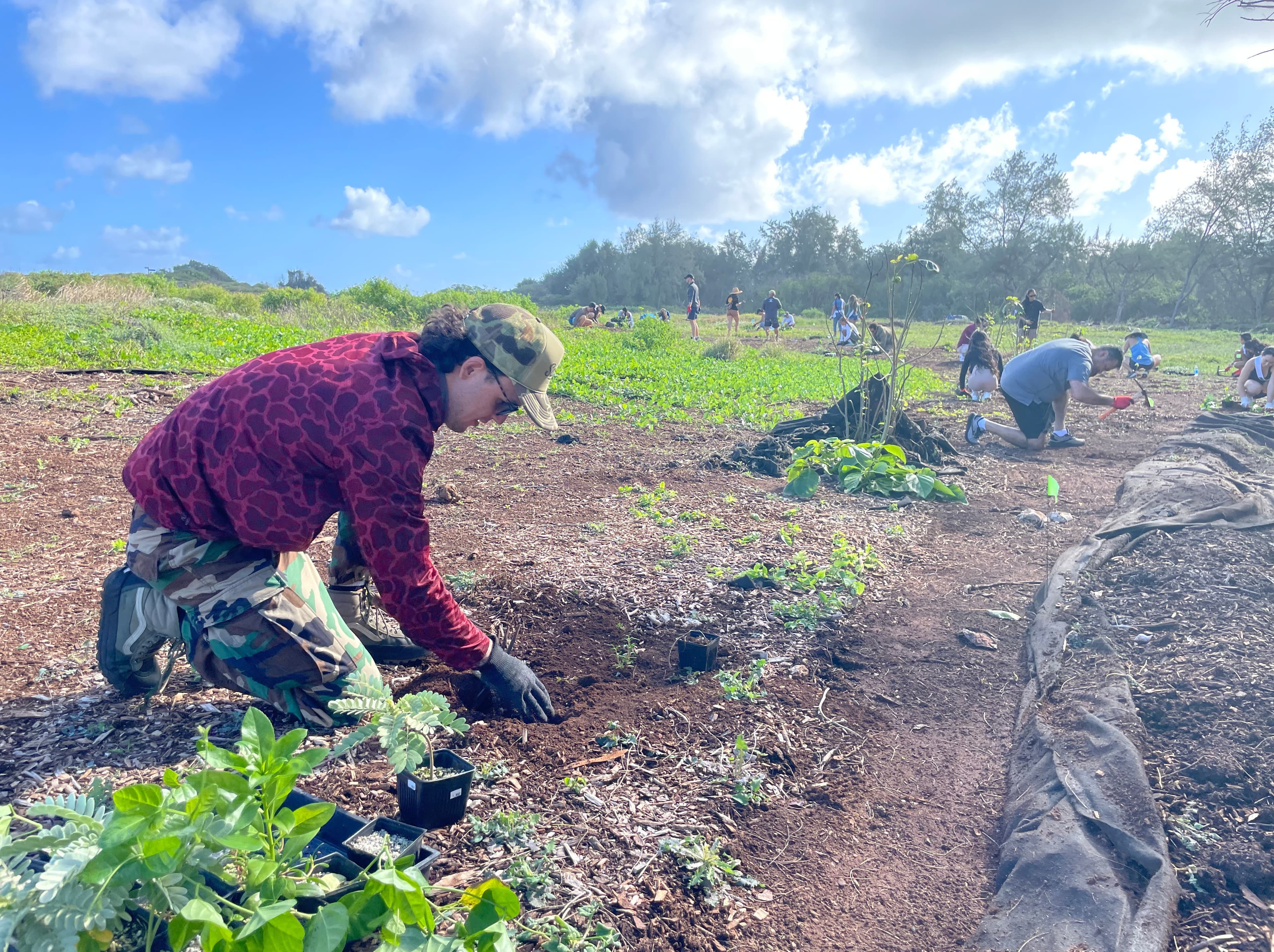 Kalaeokaunaʻoa (Kahuku Point) Community Workdays