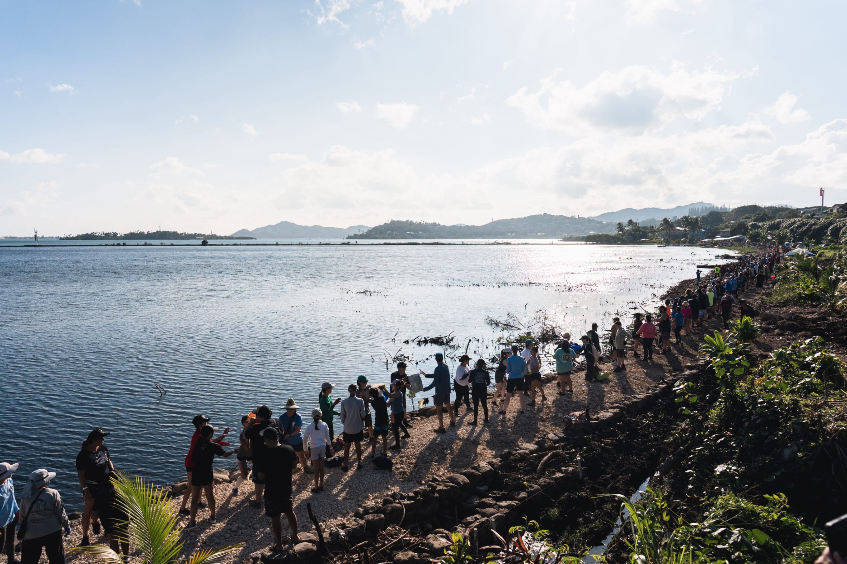 Heʻeia Fishpond Community Workday