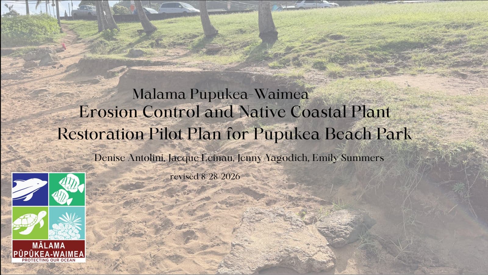 Erosion Control Project