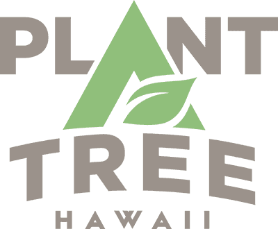 Plant A Tree
